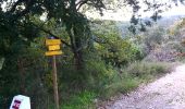 Tour Wandern Allauch - Le Terme - Collet Redon  - Photo 15