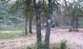 Trail Walking Allauch - Le Terme - Collet Redon  - Photo 13