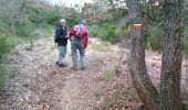 Trail Walking Allauch - Le Terme - Collet Redon  - Photo 11