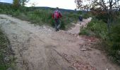 Trail Walking Allauch - Le Terme - Collet Redon  - Photo 4