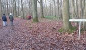 Trail Walking Le Mesnil-Saint-Denis - rando du 11/12/2014 - Photo 9