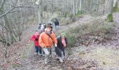 Tocht Stappen Le Mesnil-Saint-Denis - rando du 11/12/2014 - Photo 14