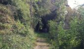 Trail Walking Saint-Just-Saint-Rambert - Barrage de Grangent - Photo 2