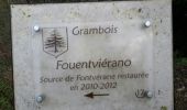 Tour Wandern Grambois - grambois - Photo 3