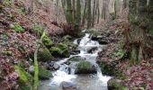 Trail Walking Ham-sur-Heure-Nalinnes - Balade dans le Bois de Beignée - Photo 6