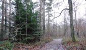 Trail Walking Ham-sur-Heure-Nalinnes - Balade dans le Bois de Beignée - Photo 3