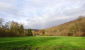 Trail Walking Ham-sur-Heure-Nalinnes - Balade dans le Bois de Beignée - Photo 1