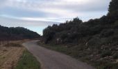 Trail Walking Aigne - Aigne - Saume Longue - Photo 2