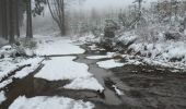 Randonnée Marche Vielsalm - Ennal - Bois de l'Hospice - Photo 4