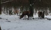 Tocht Stappen Eupen - ternell - Photo 1