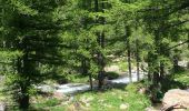 Trail Walking Tende - refuge des merveilles - Photo 4