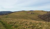 Randonnée Marche Dolleren - ballon d'alsace - Photo 9