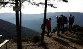 Trail Walking Dolleren - ballon d'alsace - Photo 3