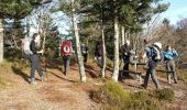 Percorso Marcia Dolleren - ballon d'alsace - Photo 2