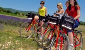 Tour Fahrrad Forcalquier - Le Pays de Forcalquier - Montagne de Lure à vélo - Photo 1
