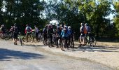 Tocht Andere activiteiten Cabrières-d'Avignon - Roussillon  - Photo 2