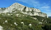Trail Walking Toulon - Tour du Baou - Photo 6