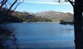 Tocht Stappen Le Broc - lac du Broc - Photo 1