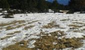 Randonnée Raquettes à neige Caudiès-de-Conflent - caudies de conflent - Photo 1