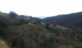 Percorso Mountainbike Beauchastel - Beauchastel - Photo 20