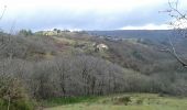 Excursión Bici de montaña Beauchastel - Beauchastel - Photo 17