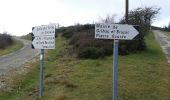 Excursión Bici de montaña Beauchastel - Beauchastel - Photo 16