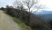 Excursión Bici de montaña Beauchastel - Beauchastel - Photo 13