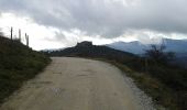 Excursión Bici de montaña Beauchastel - Beauchastel - Photo 12