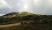 Tocht Mountainbike Beauchastel - Beauchastel - Photo 4