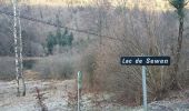 Tocht Stappen Sewen - tour du lac de Sewen - Photo 3