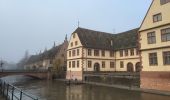 Tour Wandern Straßburg - Untitled - Photo 12