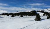 Tocht Sneeuwschoenen Les Angles - l estany de la Llosa - Photo 1