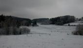 Trail Walking Saint-Nabord - De l'Etang de La Demoiselle à l'Etang de la Broche Avaud - Photo 6