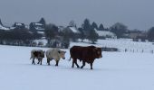 Tocht Andere activiteiten Ferrières - xhoris  - Photo 1