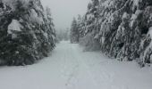Trail Snowshoes Léoncel - echaillon - Photo 1