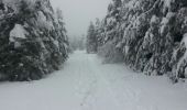 Tocht Sneeuwschoenen Léoncel - echaillon - Photo 1