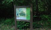 Percorso Marcia Momignies - Momignies (02) - Forest interpretation trail in the Bois de Macon (Macon Wood) - Photo 3