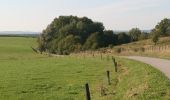 Trail Cycle Rochefort - Cycle tour through : Lessive, Auffe, Villers, RAVeL, Eprave, Lessive - Photo 15