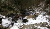 Excursión Senderismo Malmedy - La ferme Libert 12,8 - Photo 2