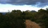 Trail Walking Toulon - Tour du Baou par Destel - Photo 4