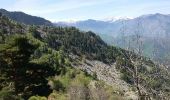 Trail Walking Vernet-les-Bains - cogollo - Photo 2