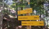 Trail Walking Vernet-les-Bains - Mariailles - Photo 1
