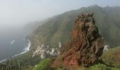 Tour Wandern Santa Cruz de Tenerife - Van Igueste naar Playa de Antequera - Photo 10