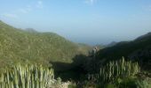 Tour Wandern Santa Cruz de Tenerife - Van Igueste naar Playa de Antequera - Photo 2