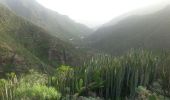 Tour Wandern Santa Cruz de Tenerife - Van Igueste naar Playa de Antequera - Photo 1