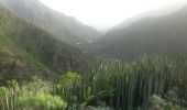 Trail Walking Santa Cruz de Tenerife - Van Igueste naar Playa de Antequera - Photo 1