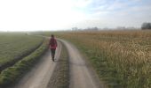 Trail Walking Kruisem - Wannegel-Lede en Mullem - Photo 3