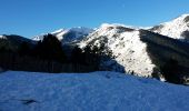 Tocht Sneeuwschoenen Py - Col de Mantet par le pla de Segola - Photo 5