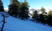 Tocht Sneeuwschoenen Py - Col de Mantet par le pla de Segola - Photo 6