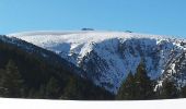 Tocht Sneeuwschoenen Py - Col de Mantet par le pla de Segola - Photo 7